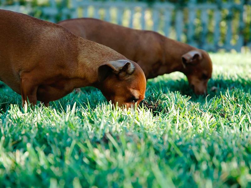 sudoku cognitive benefits screenshot 3